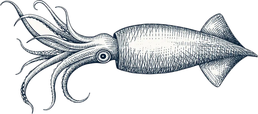 Fish 2