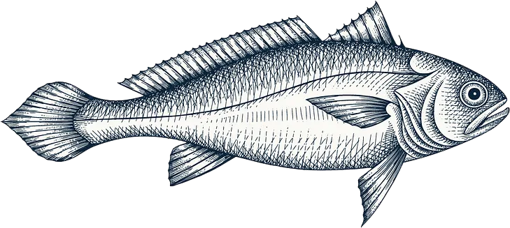 Fish 3